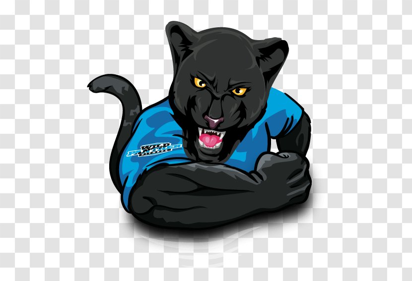 Black Cat Panther Physical Fitness Exercise - Big Cats Transparent PNG
