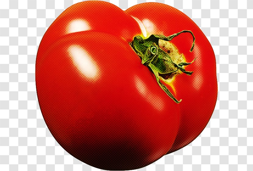 Tomato - Natural Foods - Bush Food Transparent PNG