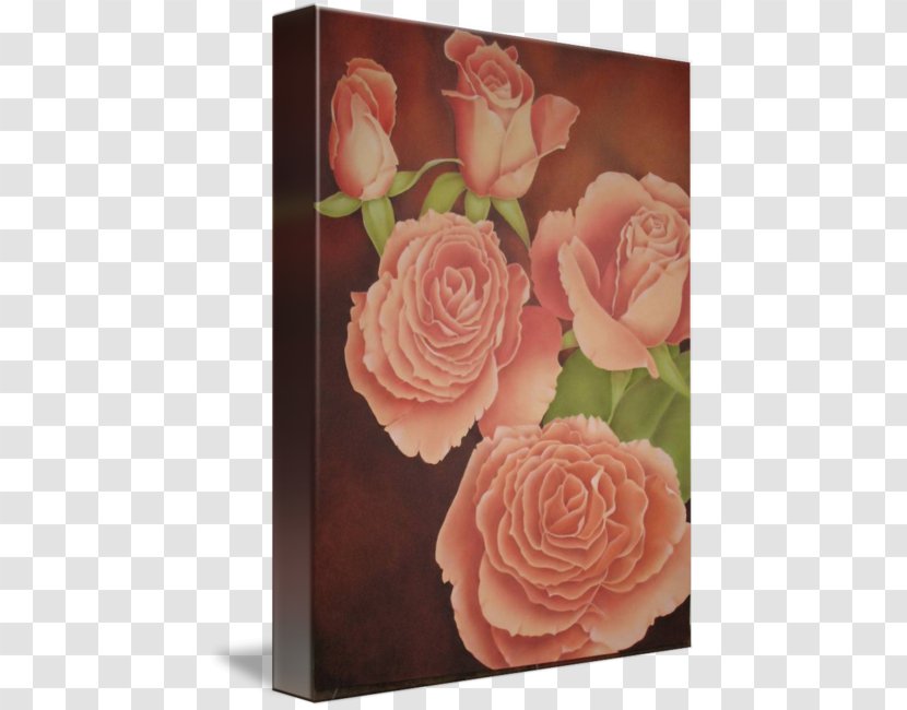Garden Roses Oil Painting Artist Gallery Wrap - Rosa Centifolia - Peach Rosette Transparent PNG
