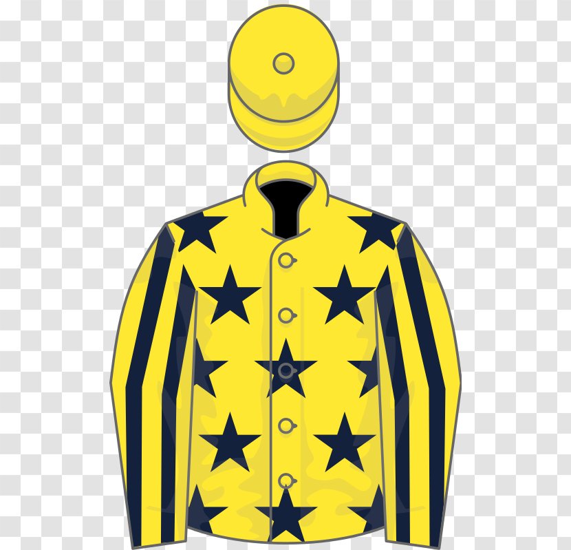 National Hunt Racing Horse Betfair Stayers' Handicap Hurdle Christmas - Novice Transparent PNG