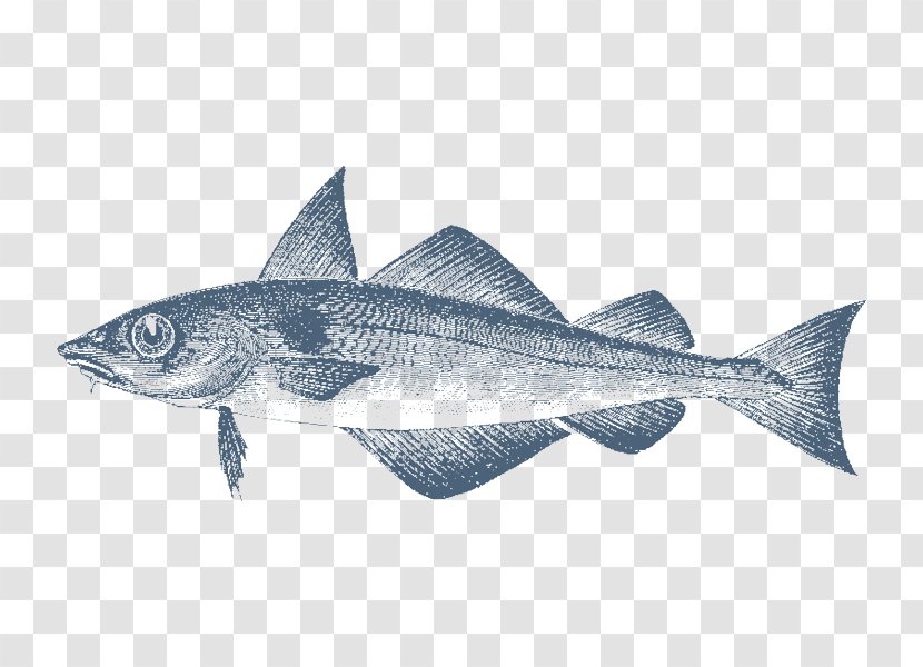 Cod Haddock Sardine Fin Gadidae - Barbel - Shoal Of Fish Transparent PNG