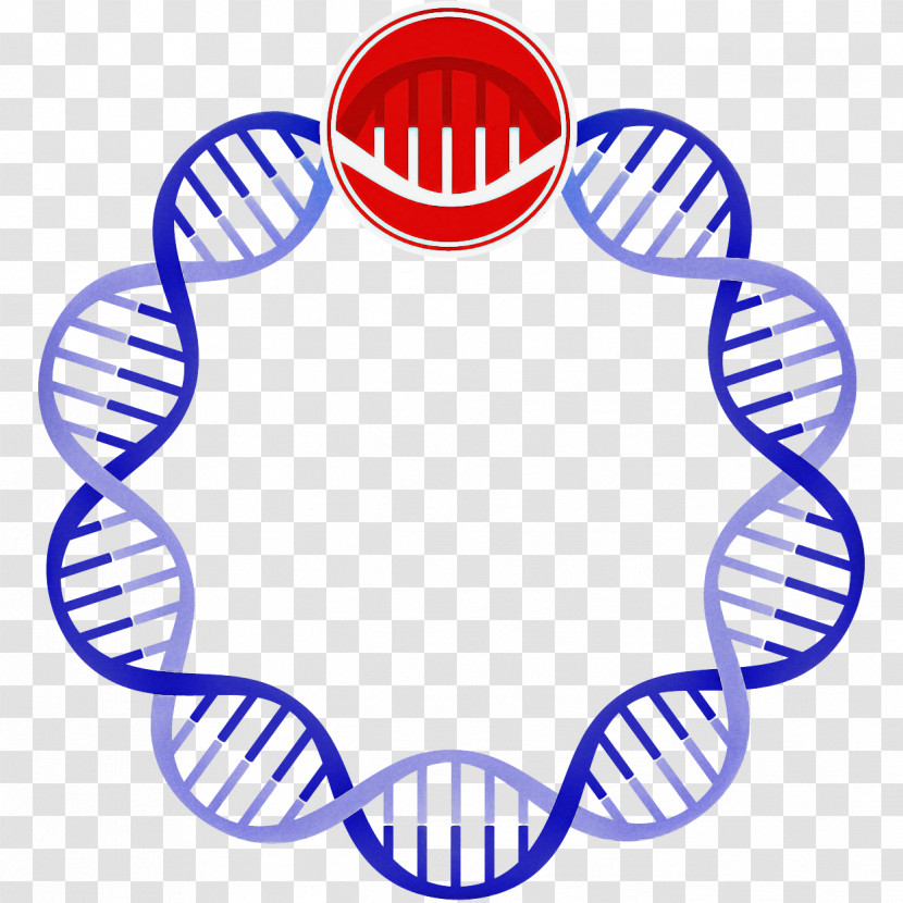 Royalty-free Dna Adenine Vector Vector Transparent PNG