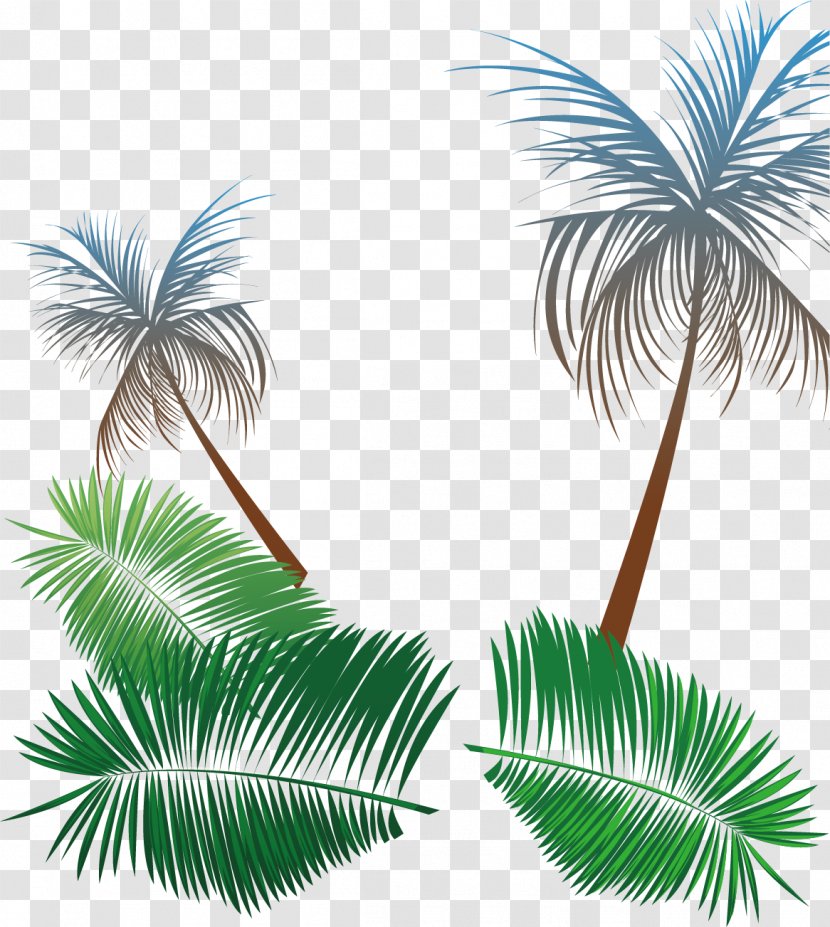 Beach - Palm Tree - Coconut Background Material Summer Promotion Transparent PNG