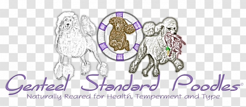 Poodle Puppy Water Dog Culture - Watercolor - Standard Transparent PNG