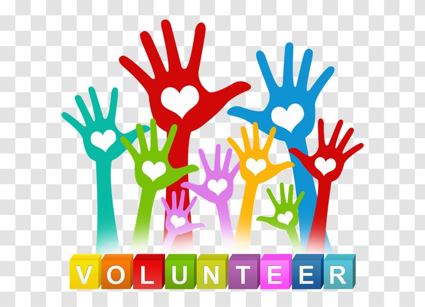 Volunteering Organization Volunteer Ottawa Benevoles Community Food Bank - Organism Transparent PNG