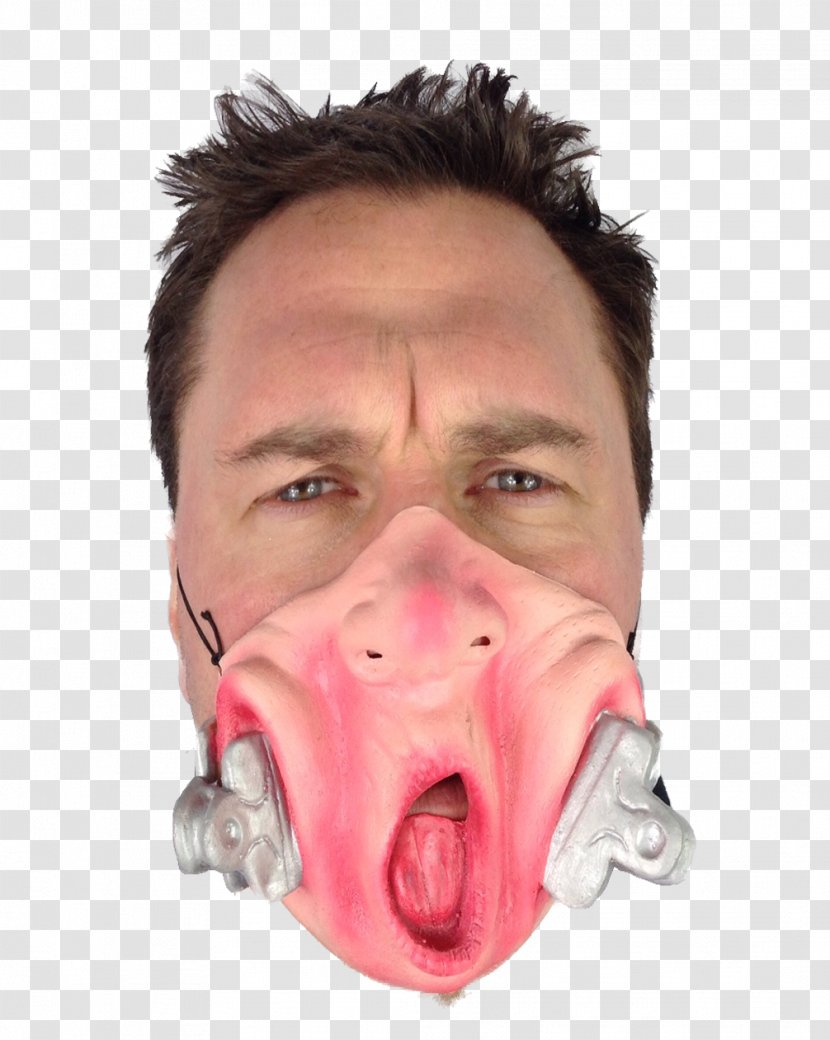 Snout Chin Cheek Jaw Mouth - Smile - Half Face Transparent PNG