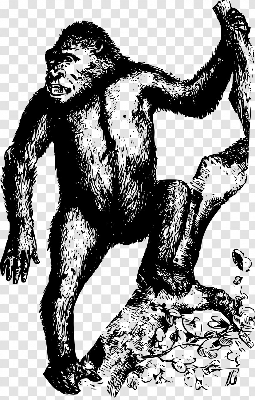 Gorilla Homo Sapiens Orangutan Ape Clip Art Transparent PNG