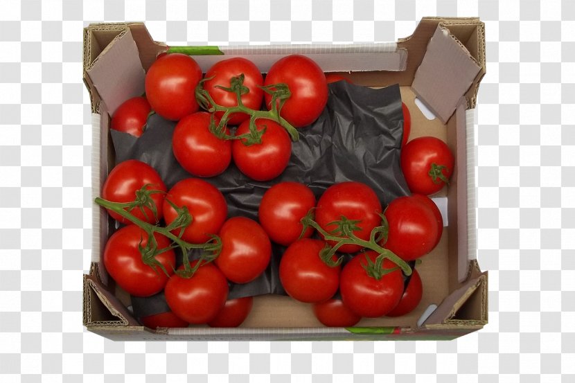Plum Tomato Bush Box - Image File Formats Transparent PNG