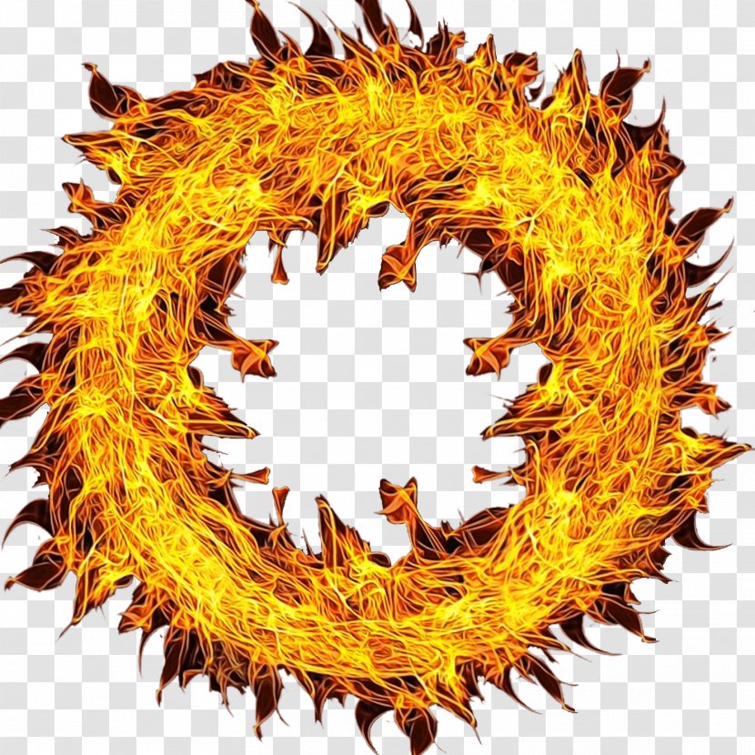 Leaf Circle - Fire Symbol Transparent PNG