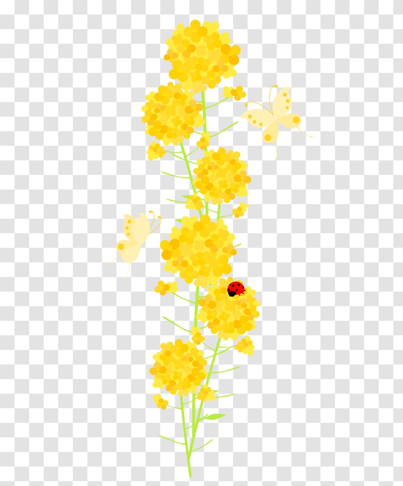 Common Sunflower Cut Flowers Floral Design Chrysanthemum Plant Stem - Spring Material Transparent PNG