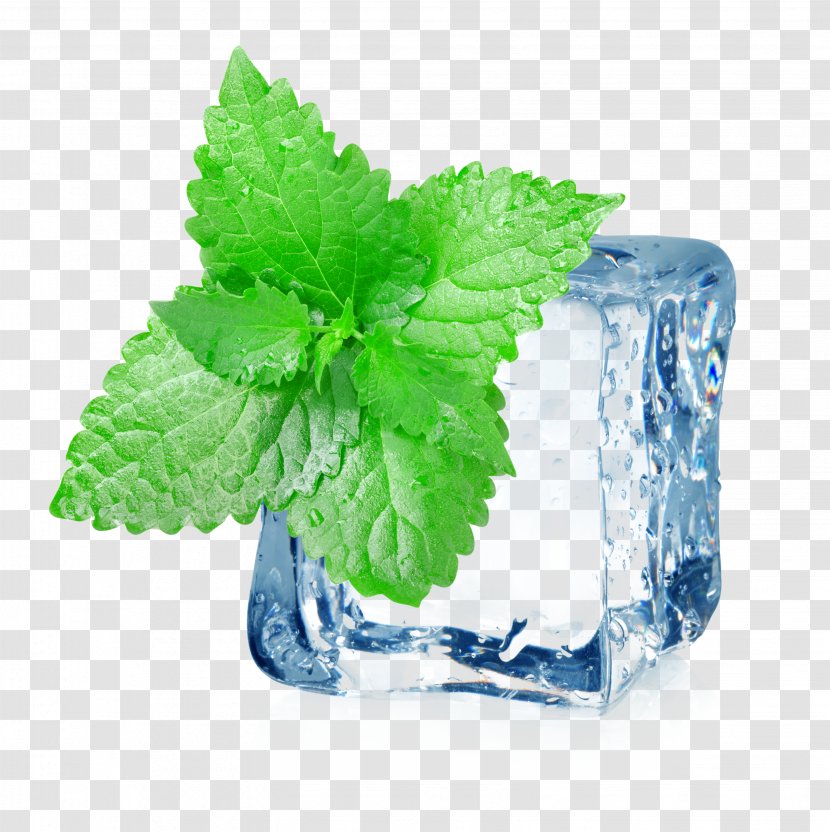 Iced Tea Mint Electronic Cigarette Aerosol And Liquid Menthol - Leaves Ice Transparent PNG