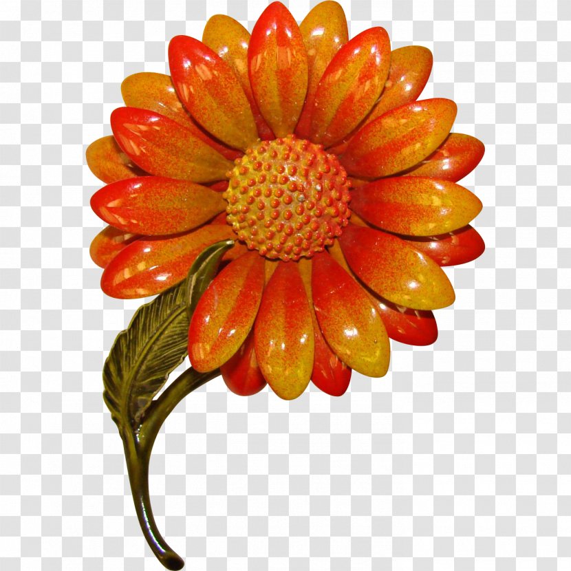 Transvaal Daisy Cut Flowers Chrysanthemum Dahlia - Family - 1960s Flower Store Transparent PNG