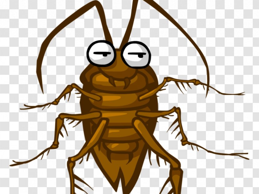 American Cockroach Insect Pest Blattodea - Emoji Transparent PNG