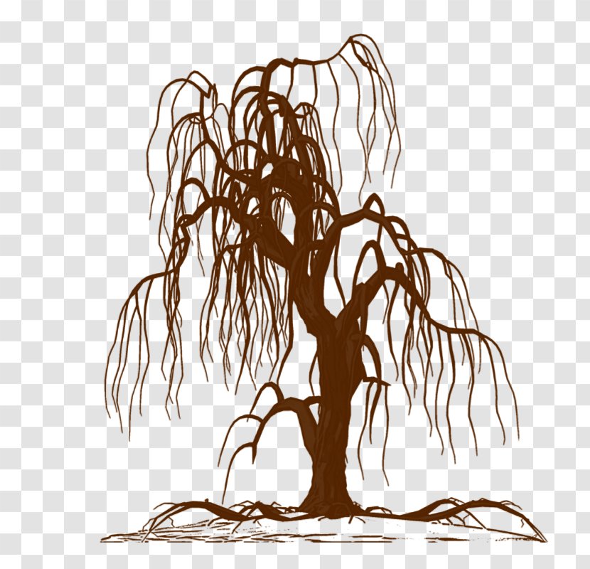 Wall Decal Weeping Willow Tree Drawing Silhouette Light Transparent Png,Chicken Breast Temperature Celsius
