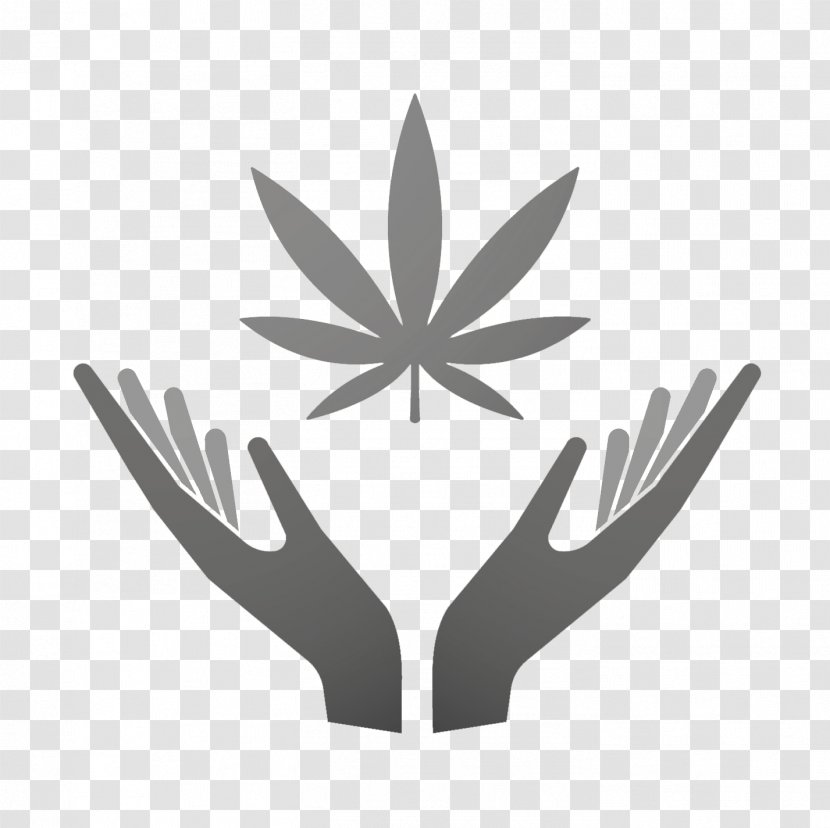 Medical Cannabis Hemp Vector Graphics Logo - Leaf Transparent PNG