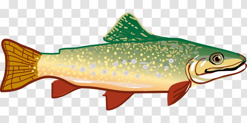 Rainbow Trout Clip Art - Blog - Slender Fish Transparent PNG
