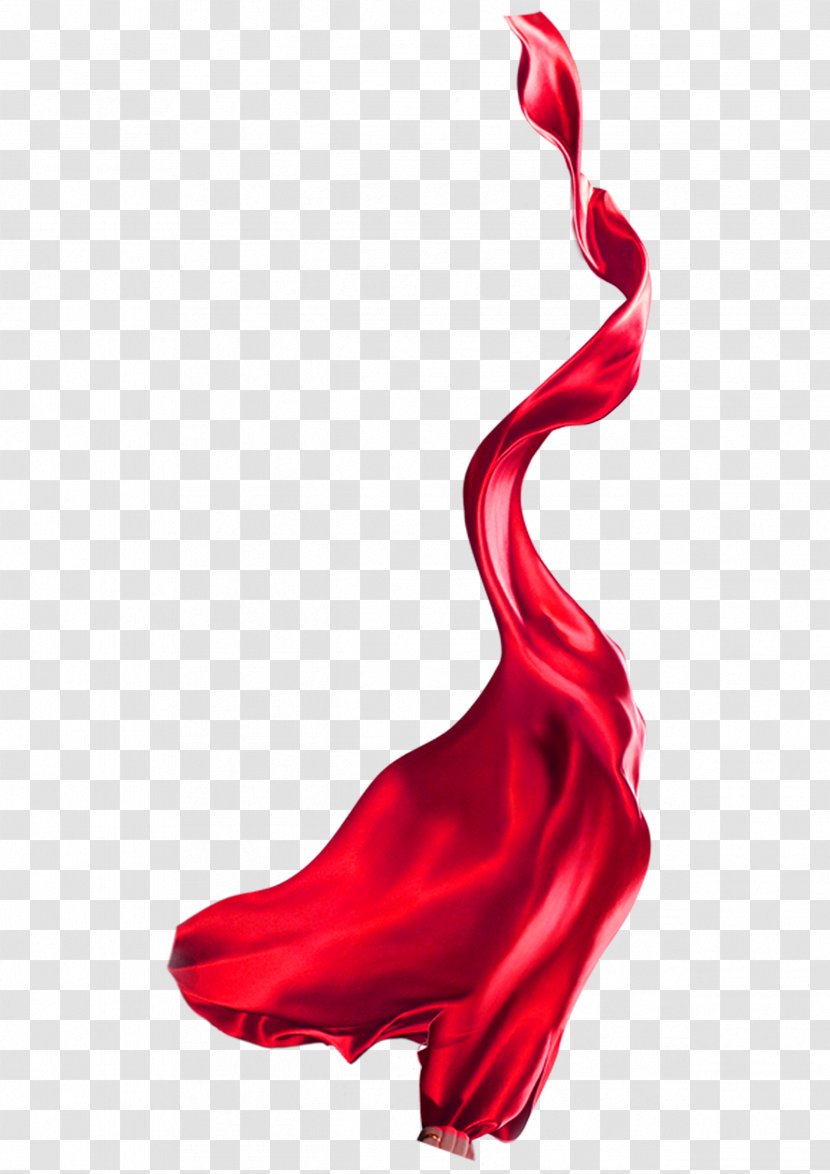 Color Red Ribbon Image - Day Transparent PNG