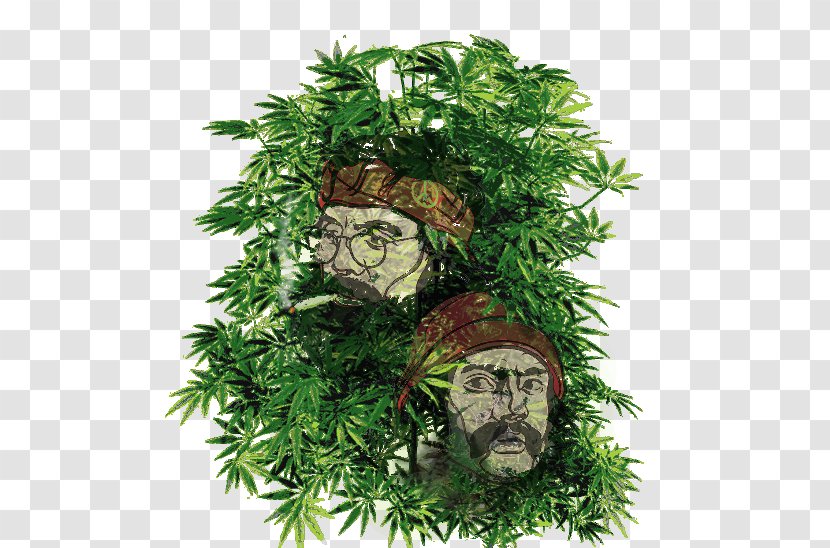 Desktop Wallpaper Medical Cannabis Kush Ruderalis - Plant Transparent PNG
