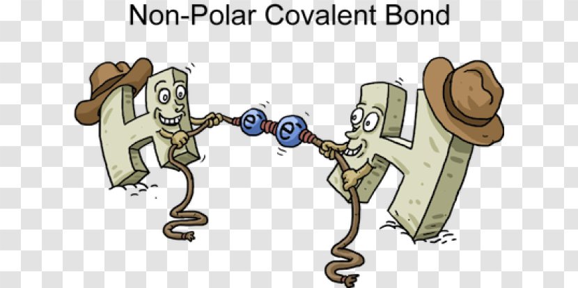 Polar Covalent Bond Chemical Ionic Bonding Polarity - Compound - Cartoon Transparent PNG