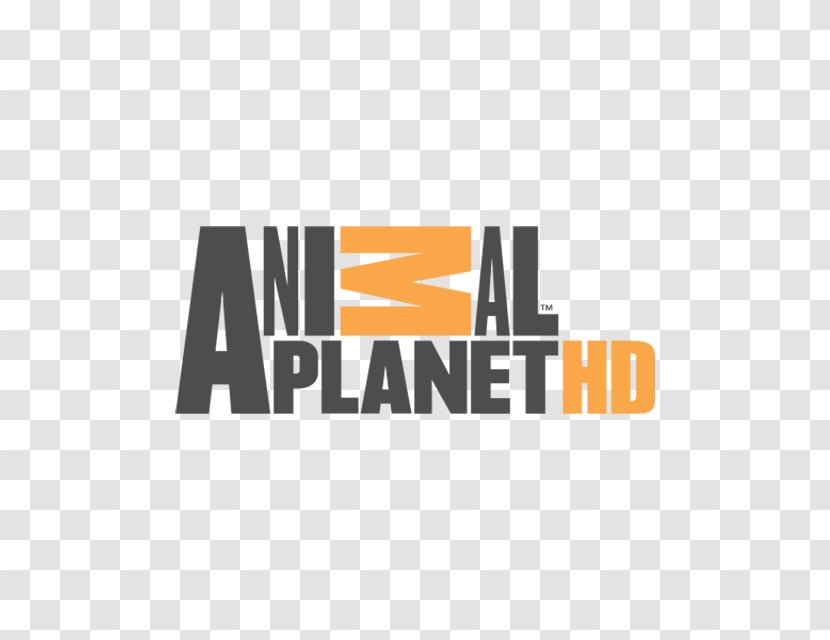 Logo Brand Font Product Text - Area - Animal Planet Transparent PNG