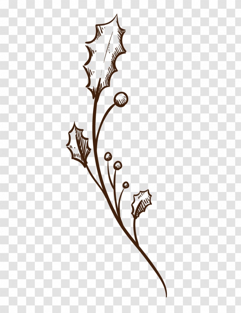 Leaf Christmas Flower Joulukukka Transparent PNG