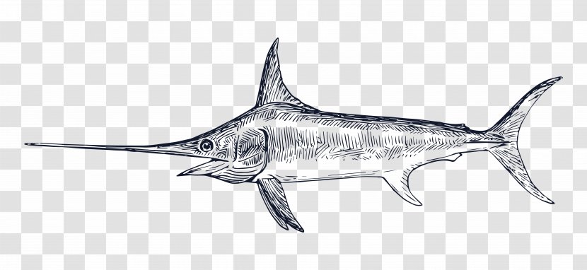 Swordfish Drawing Billfish Clip Art - Coloring Book Transparent PNG