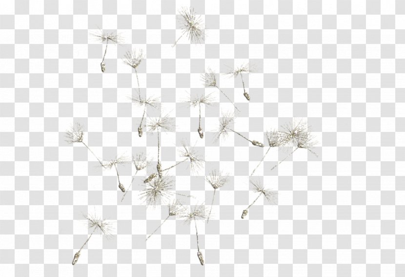 White Pattern - Symmetry - Dandelion Transparent PNG