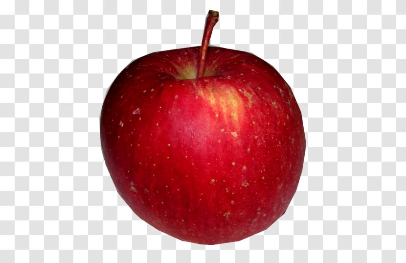 McIntosh Apple Red - Delicious - Apples Transparent PNG