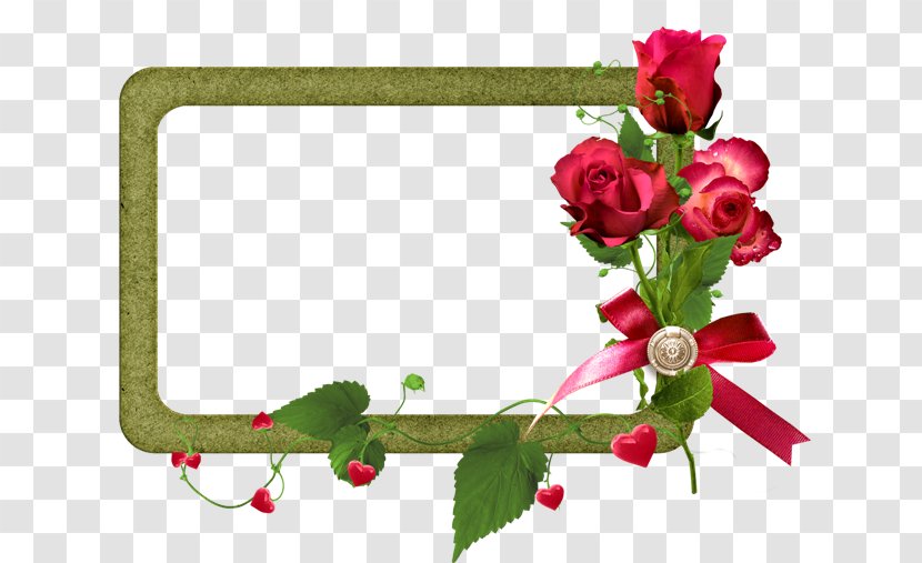 Picture Frames Web Browser - Rose Order - Red Roses Transparent PNG