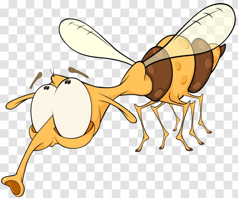 Honey Bee Insect Pollinator - Wasp Transparent PNG