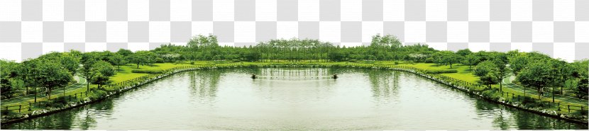 Landscape - Symmetry - Lake Material Transparent PNG