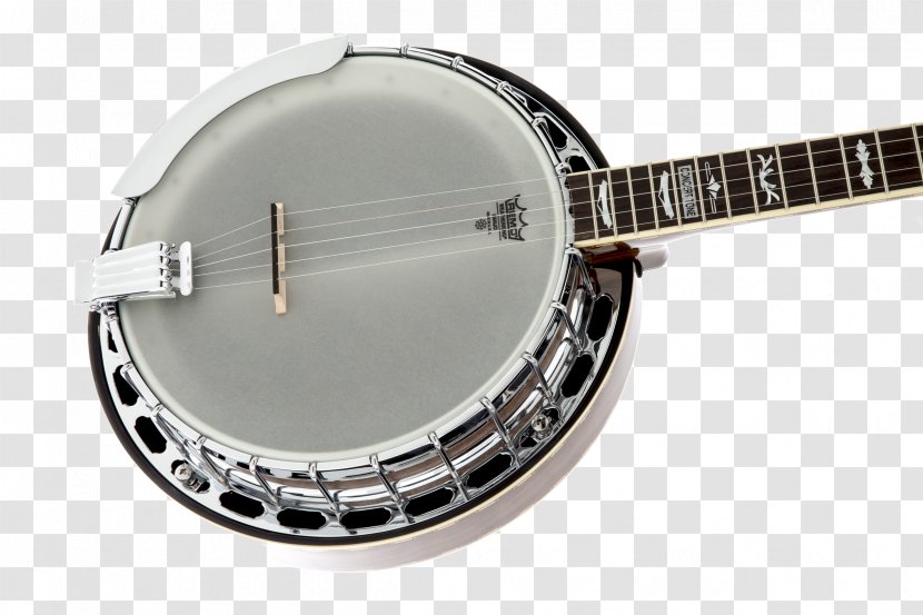 Fender Stratocaster Precision Bass Sunburst Banjo Musical Instruments - Flower Transparent PNG