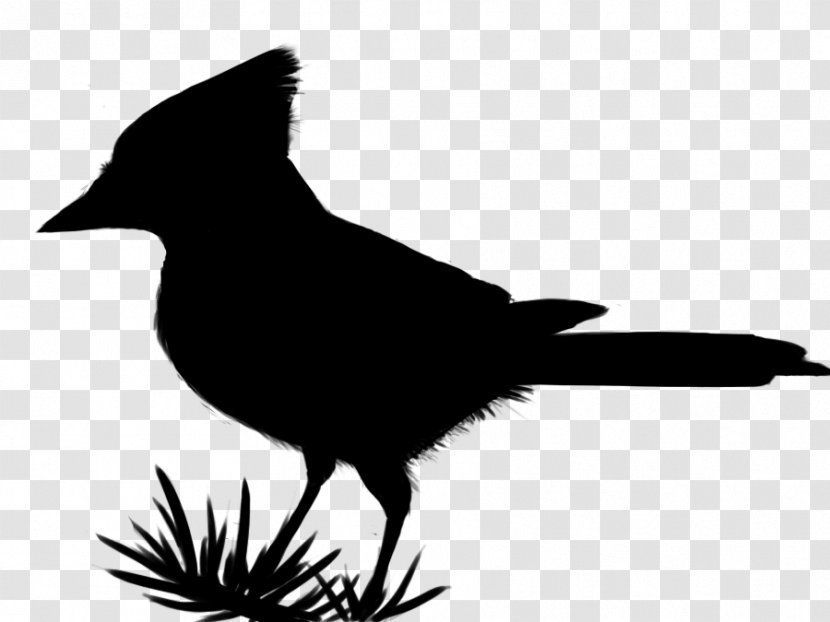 Clip Art Fauna Silhouette Beak Feather - Crow - Blackandwhite Transparent PNG