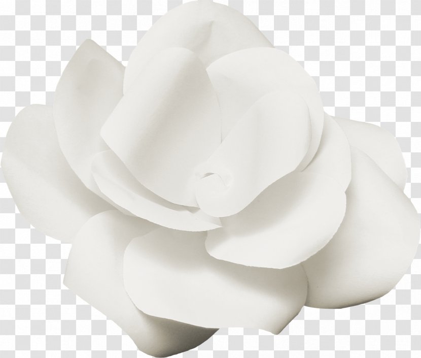 White Flower Poster - Petal - Posters Flowers Floral Pattern Background,White Transparent PNG