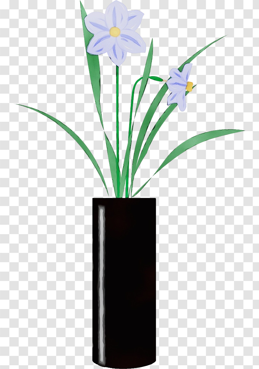 Flower Plant Flowerpot Houseplant Amaryllis Belladonna Transparent PNG