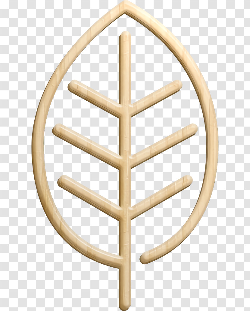 Leaf Icon Nature Icon Transparent PNG