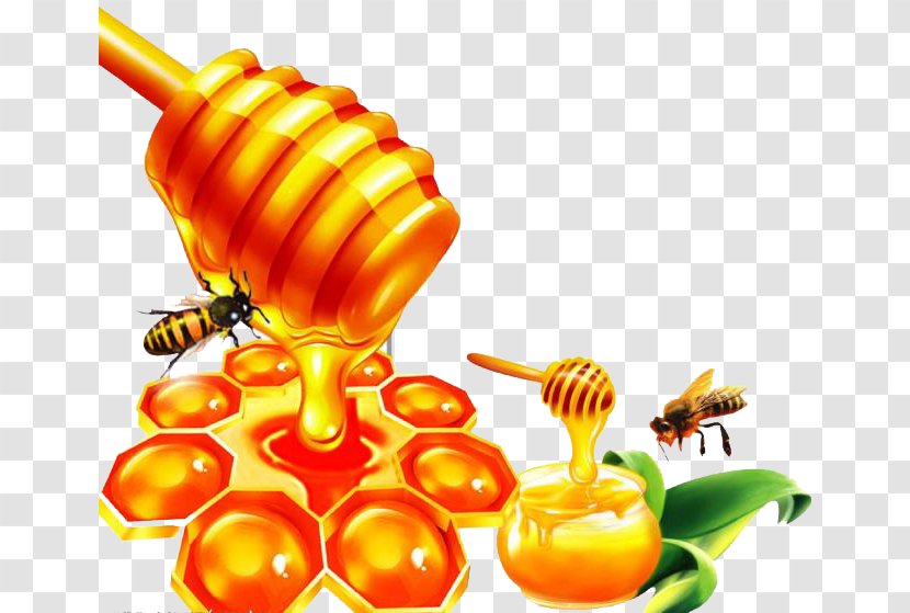 Honey Bee Honeycomb - Propolis Transparent PNG