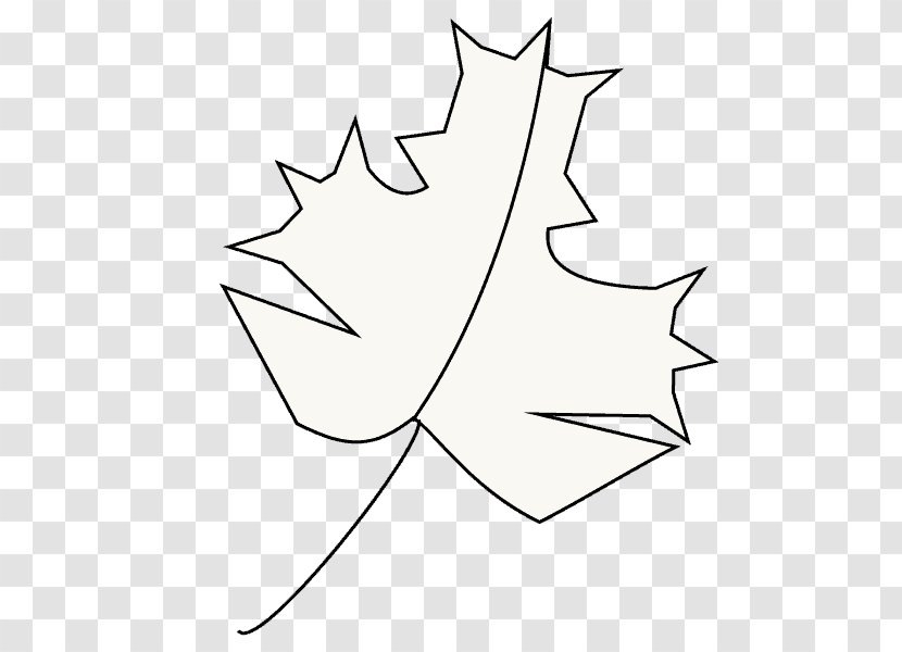 Maple Leaf Plant Stem Line Art Clip - Wing - Outline Transparent PNG