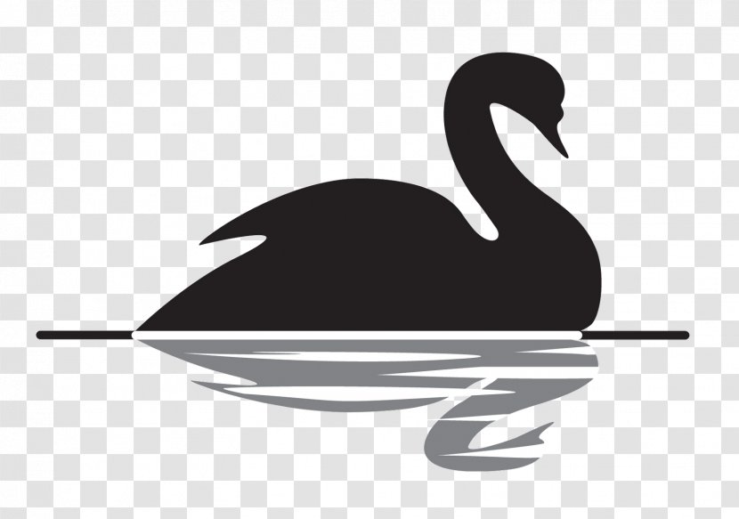 The Black Swan: Impact Of Highly Improbable Antifragile Swan Theory Prediction - Duck Transparent PNG