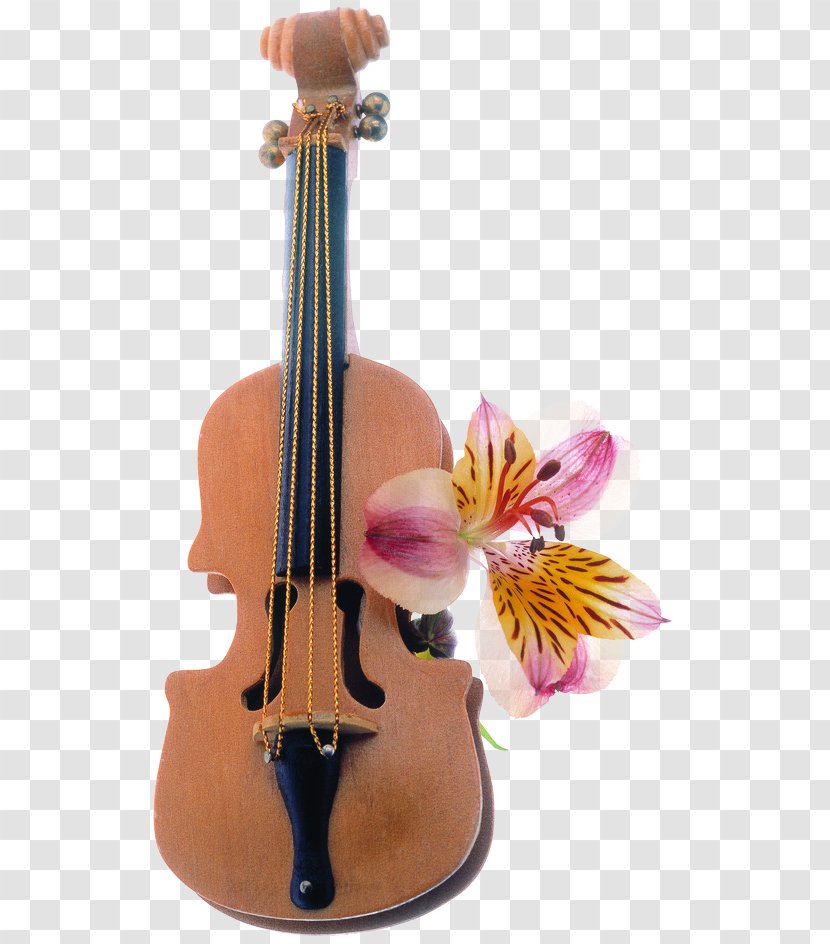 Flower Bouquet Floral Design Floristry - Violone - Violin Effect Element Flowers Transparent PNG