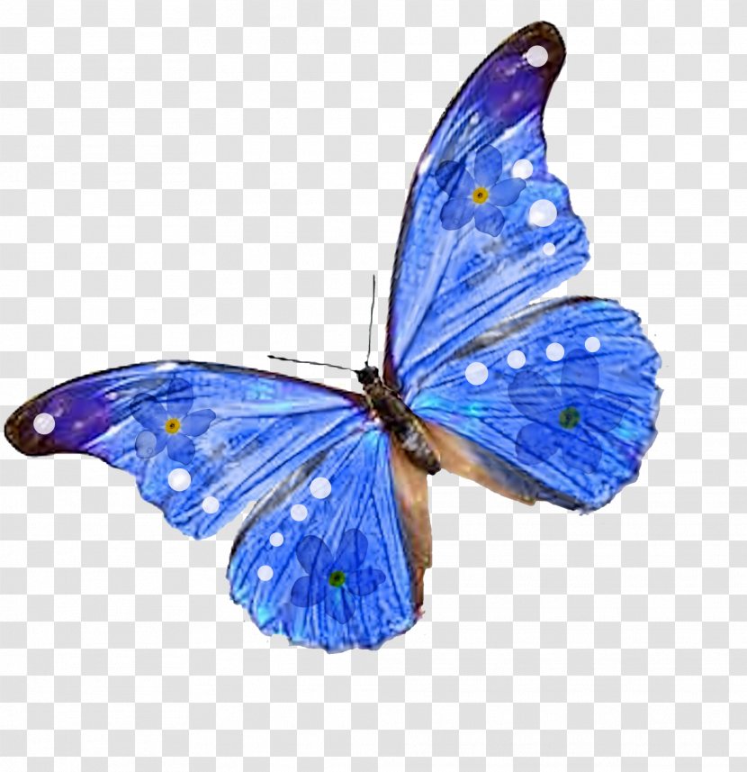 Butterfly Desktop Wallpaper Clip Art - Photography Transparent PNG