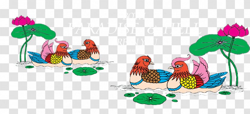 Mandarin Duck Clip Art - Chicken - On The Water Transparent PNG