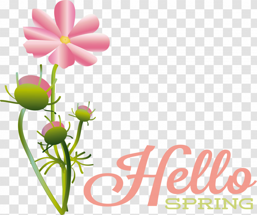 Floral Design Transparent PNG