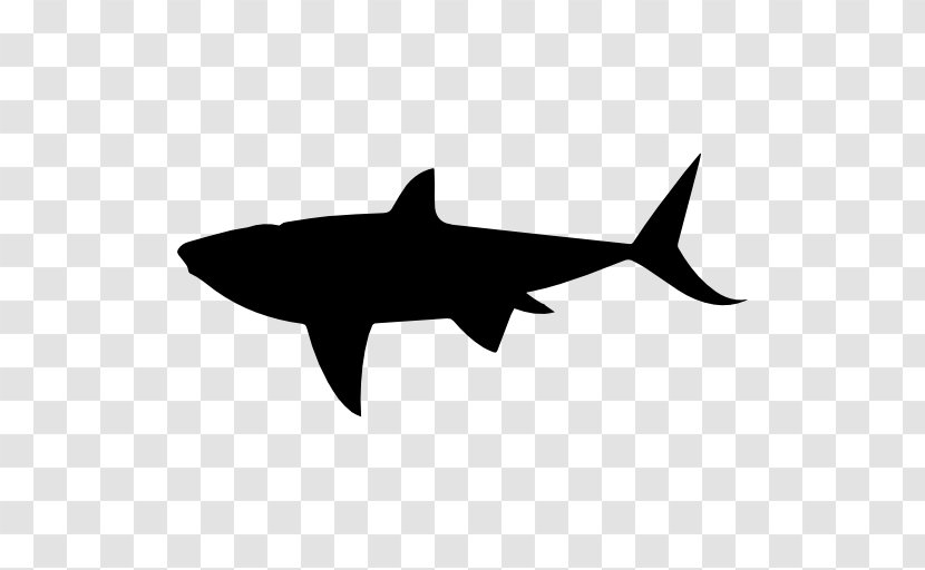 Shark - Silhouette - Sharks Transparent PNG