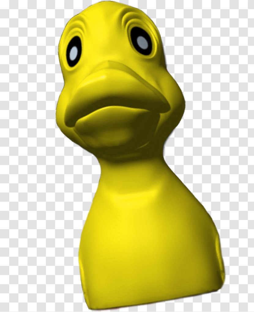 Duck Goose Cygnini Water Bird - Film Transparent PNG