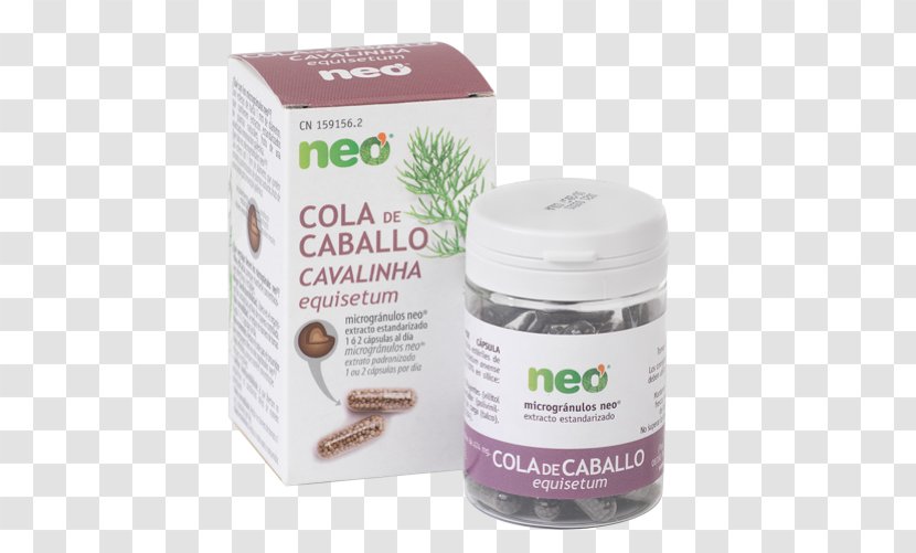Green Tea Dietary Supplement Capsule Field Horsetail - Cream Transparent PNG