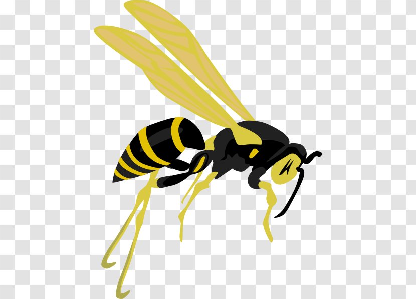 Hornet Bee Wasp Clip Art - Insect - Jason Cliparts Transparent PNG