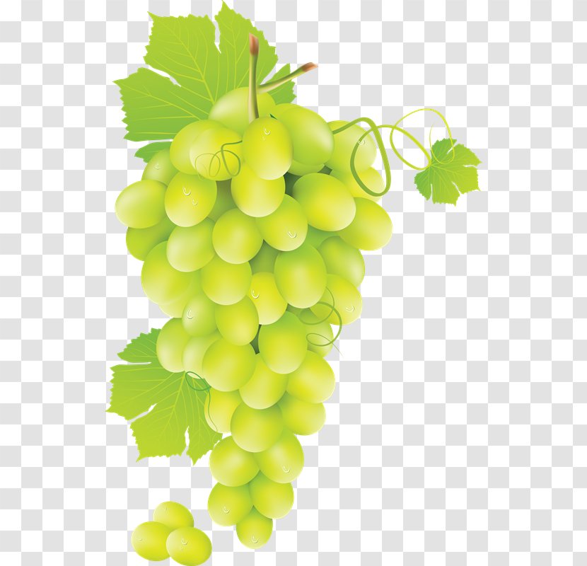 Chenin Blanc White Wine Grape - 72 Transparent PNG