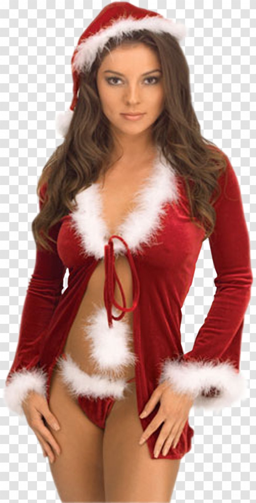 The Santa Clause Mrs. Claus Christmas Elf - Tree - Three-piece Transparent PNG