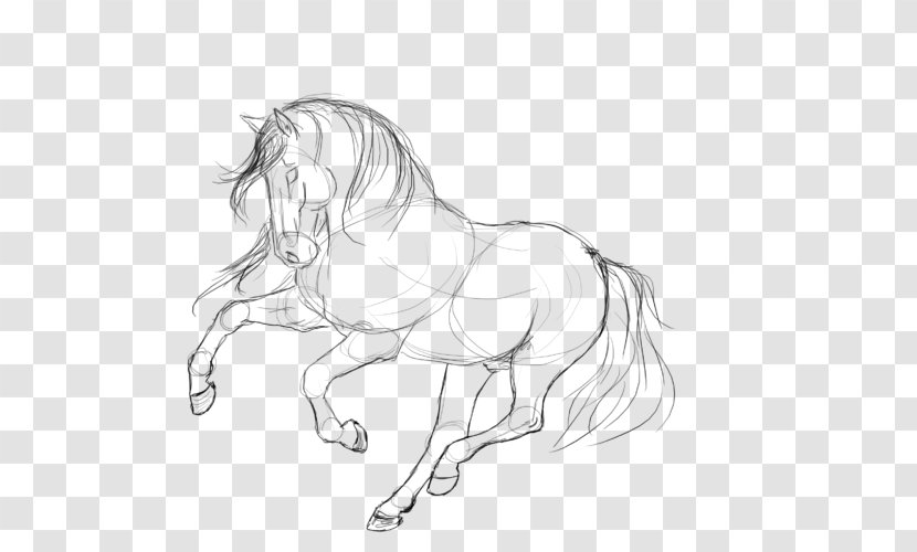 Howrse Mustang Pony Konik Line Art Transparent PNG